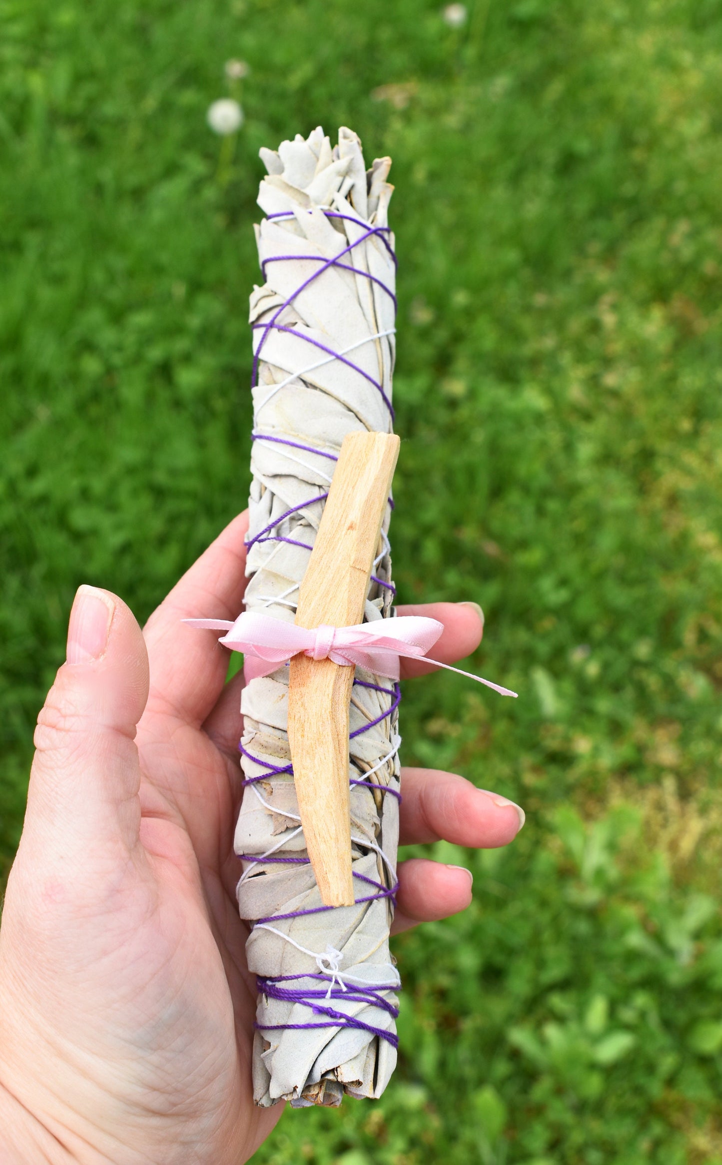 White Sage Sticks