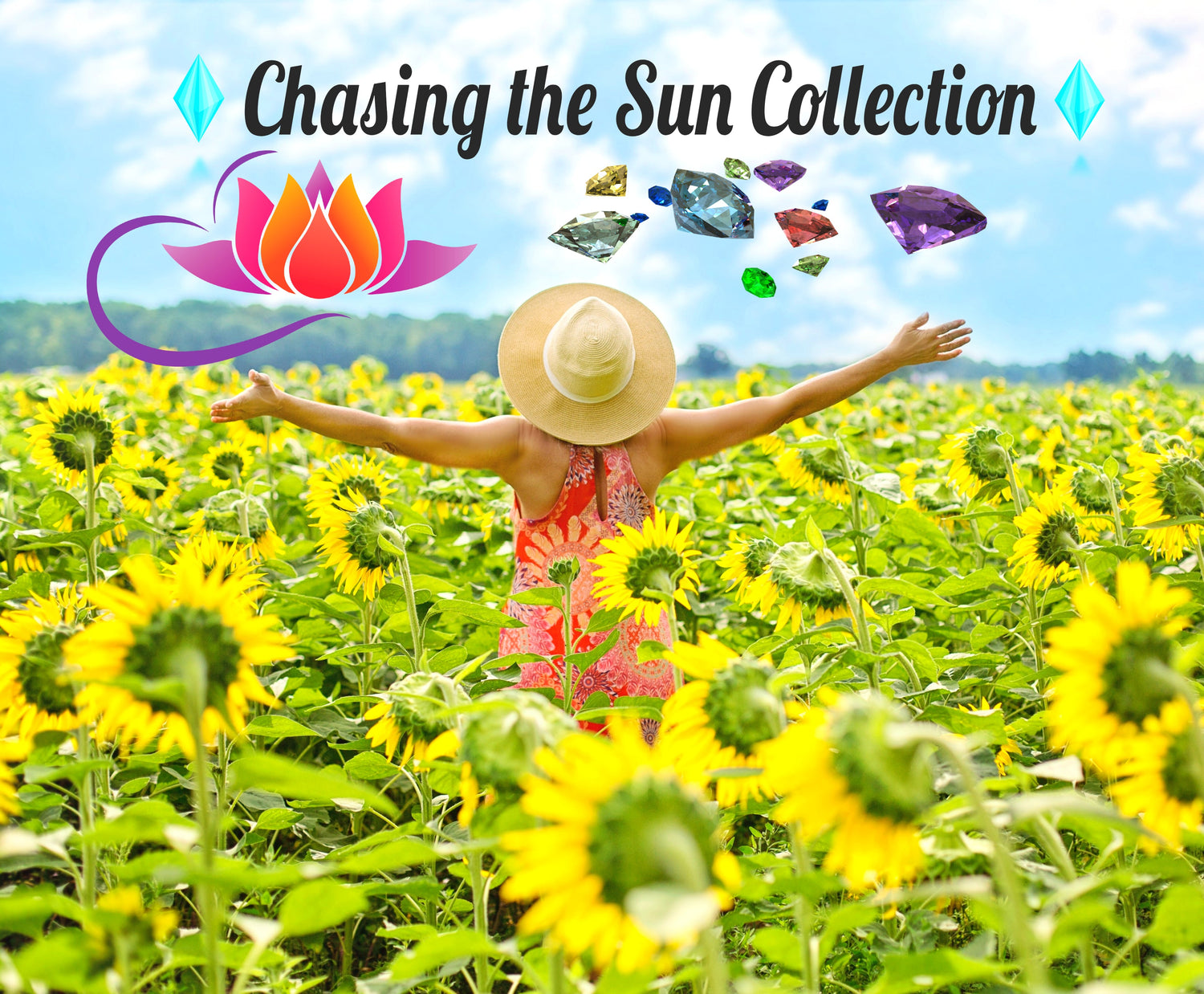 Chasing Sunshine Collection