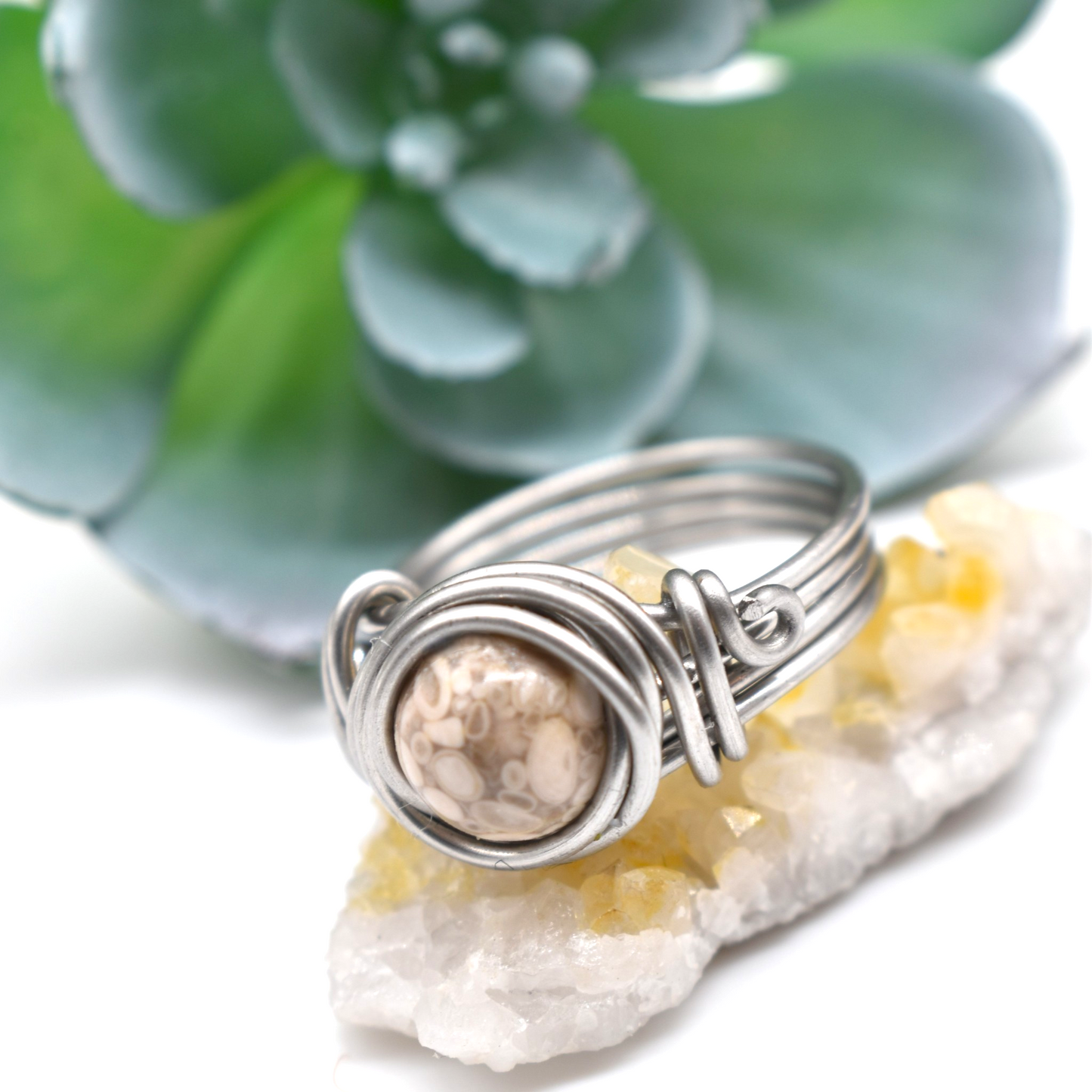 Petoskey Stone Fossil Rings in Copper Stainless Gold and Sterling Silver
