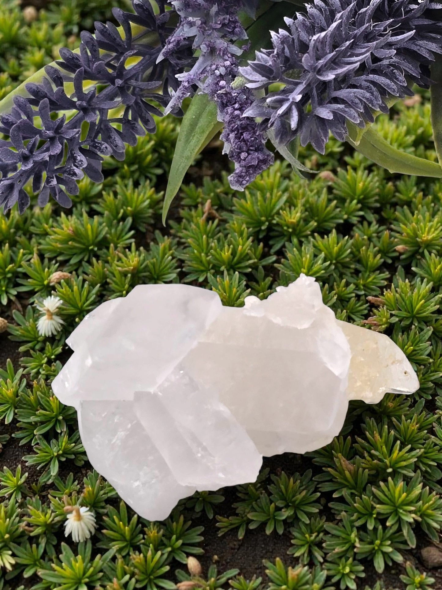 ✨ Raw Quartz Crystal – Genuine Reiki Healing Stone ✨