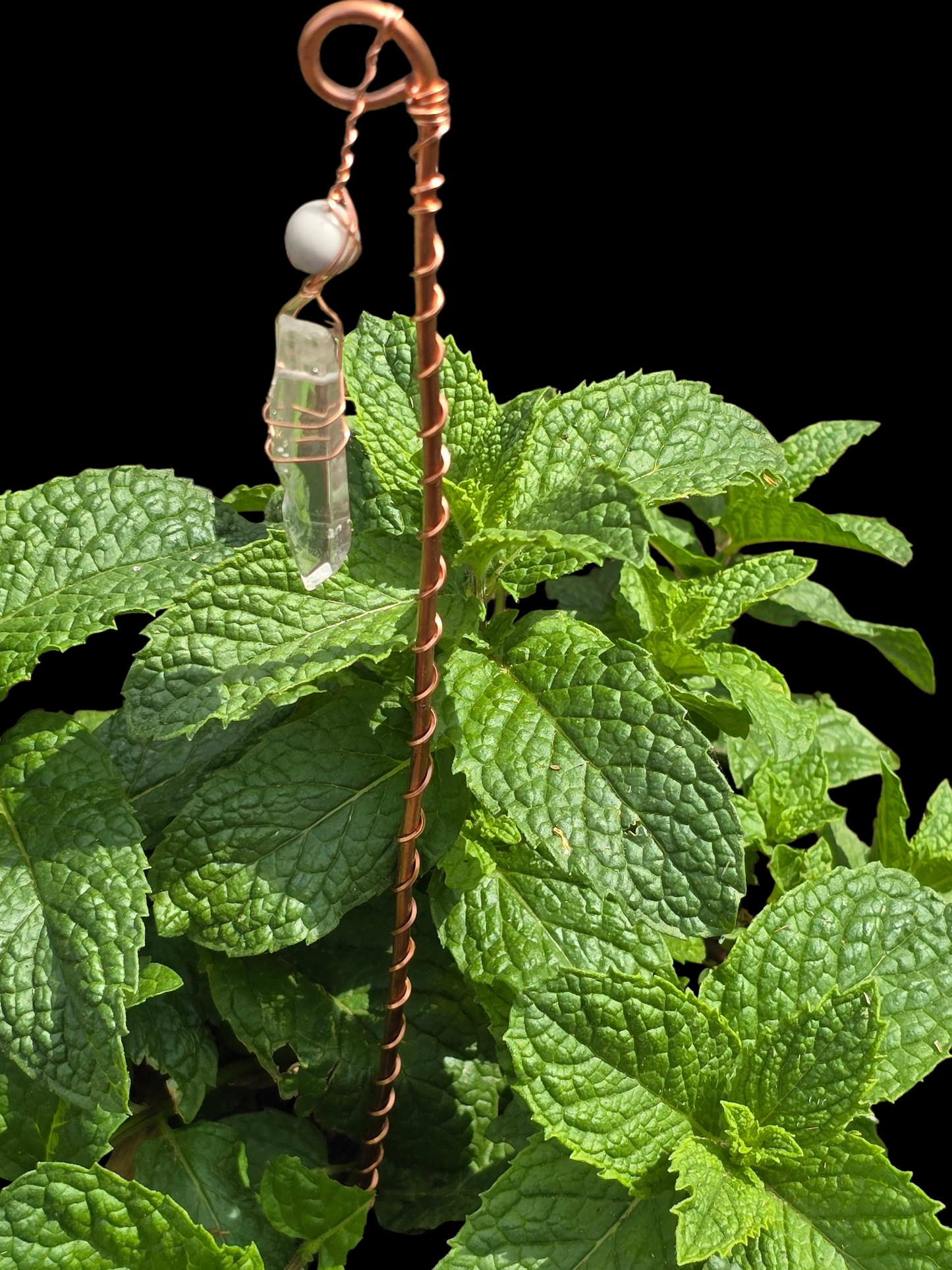 🌿 Quartz Crystal Electro Culture Copper Plant Rod